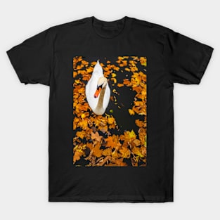 Swan In A Lake In Autumn T-Shirt